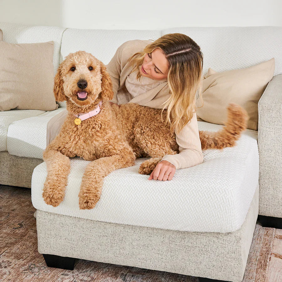 Capa mágica para sofá